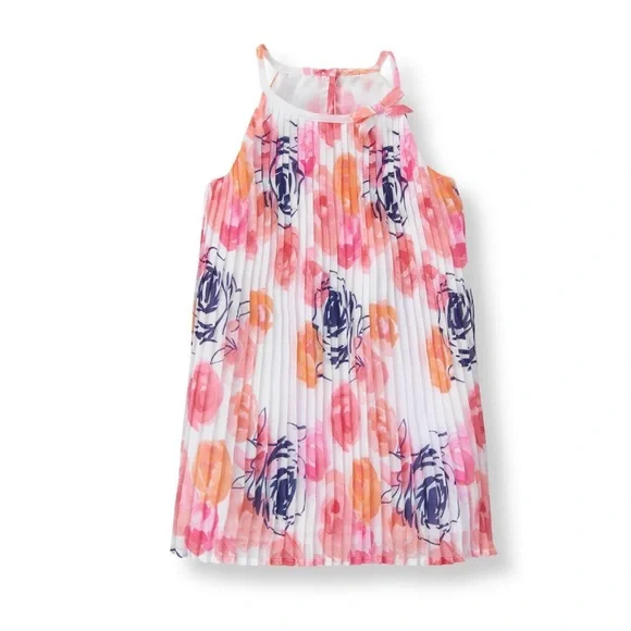 Janie and Jack | Dresses | Janie Jack Floral Rose Chiffon Sleeveless  Accordion Pleated Aline Swing Dress